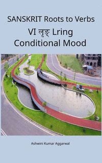 bokomslag Sanskrit Roots to Verbs VI Lring Conditional Mood