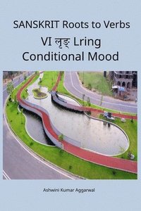 bokomslag Sanskrit Roots to Verbs VI Lring Conditional Mood