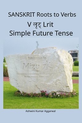 bokomslag Sanskrit Roots to Verbs V Lrit Simple Future Tense