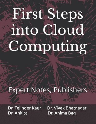 First Steps into Cloud Computing 1
