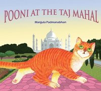 bokomslag Pooni at the Taj Mahal