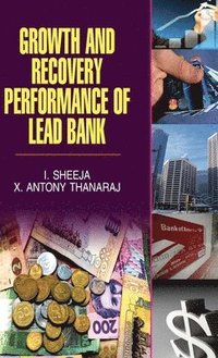 bokomslag Growth and Recovery Performance of Lead Bank