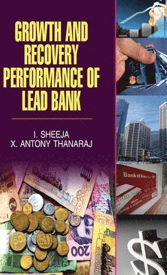Growth and Recovery Performance of Lead Bank 1