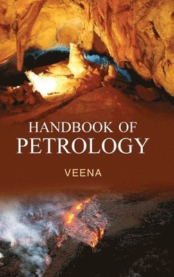 bokomslag Handbook of Petrology
