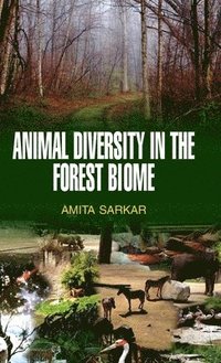 bokomslag Animal Diversity in the Forest Biome