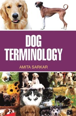 bokomslag Dog Terminology