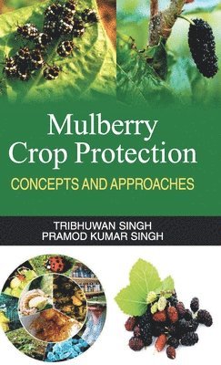 bokomslag Mulberry Crop Protection (Concepts & Approaches)