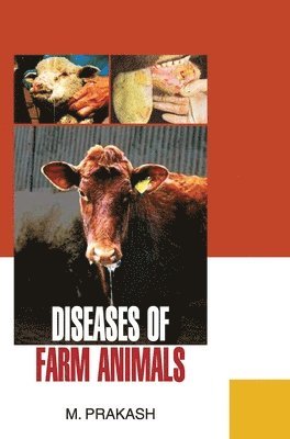 bokomslag Diseases of Farm Animals