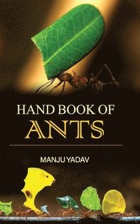 bokomslag Hand Book of Ants