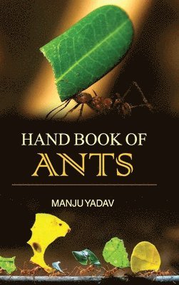 bokomslag Hand Book of Ants