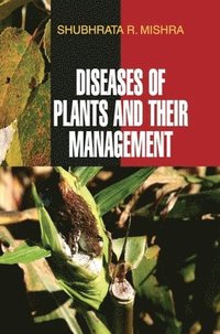 bokomslag Diseases of Plants and Their Management