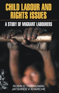 bokomslag Child Labour and Rights Issues