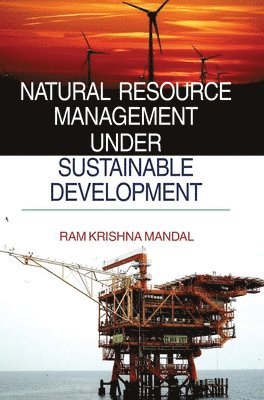 bokomslag Natural Resource Management Under Sustainable Development