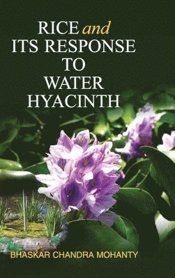 B C Mohanty, B. C. Mohanty, B. C. MOHANTY - Rice and Its Response to Water Hyacinth, Inbunden