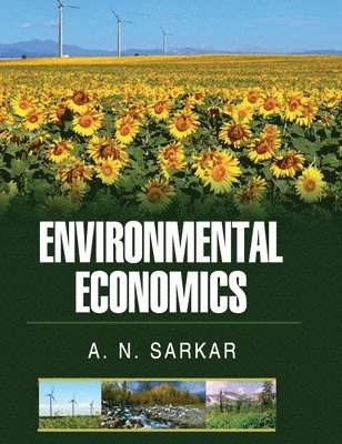 bokomslag Environmental Economics