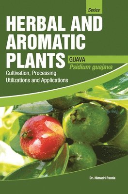 Herbal and Aromatic Plants Psidium Guajava (Guava) 1