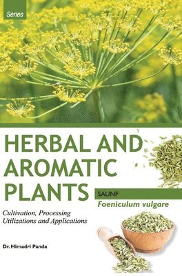 bokomslag HERBAL AND AROMATIC PLANTS - Foeniculum vulgare (SAUNF)
