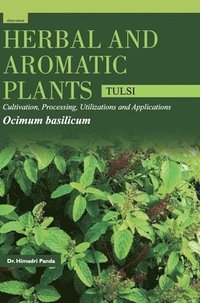 bokomslag Herbal and Aromatic Plantsocimum Basilicum (Tulsi)