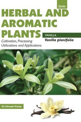 Herbal and Aromatic Plantsvanilla Planifolia (Vanilla) 1