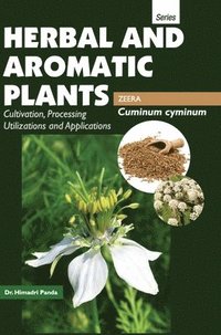 bokomslag HERBAL AND AROMATIC PLANTS - Cuminum cyminum (ZEERA)