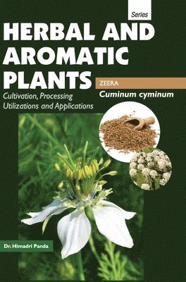 bokomslag HERBAL AND AROMATIC PLANTS - Cuminum cyminum (ZEERA)