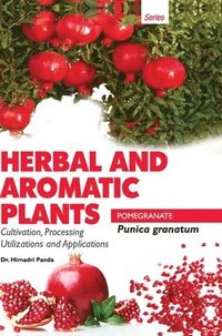bokomslag HERBAL AND AROMATIC PLANTS - Punica granatum (POMEGRANATE)