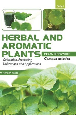 Herbal and Aromatic Plants  Centella Asiatica (Indian Pennywort) 1