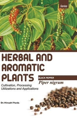 Herbal and Aromatic Plantspiper Nigrum (Black Pepper) 1