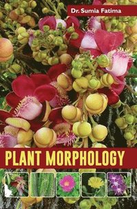 bokomslag Plant Morphology