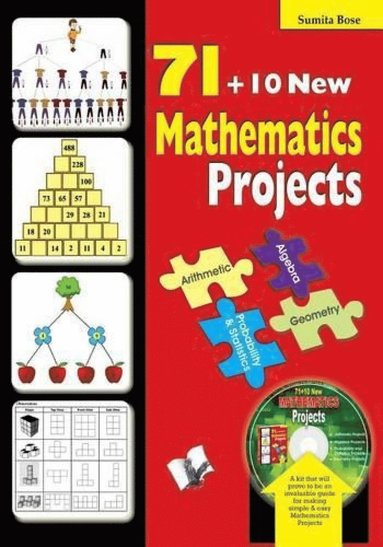 bokomslag 71 Mathematics Projects