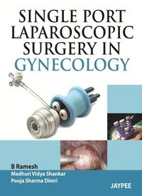 bokomslag Single Port Laparoscopic Surgery in Gynecology