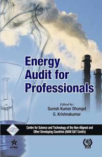 bokomslag Energy Audit for Professionals/Nam S&T Centre