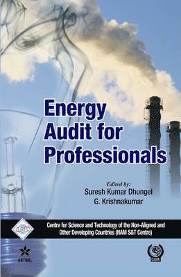 Energy Audit for Professionals/Nam S&T Centre 1