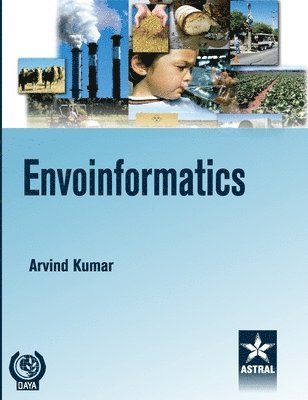 bokomslag Envoinformatics