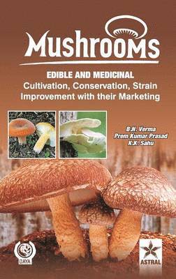 Mushrooms 1