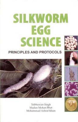 bokomslag Silkworm Egg Science