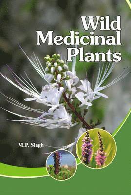 M P Singh - Wild Medicinal Plants, Inbunden