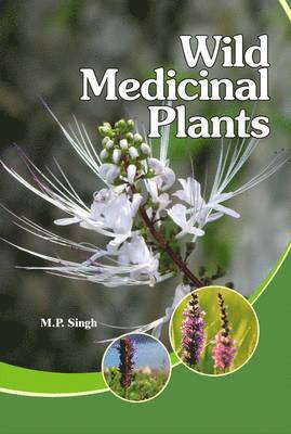 Wild Medicinal Plants 1