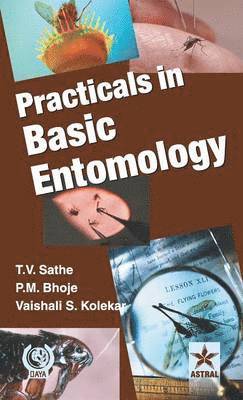 bokomslag Practicals in Basic Entomology