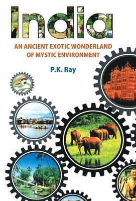 Pk Ray, PK Ray - India An Ancient Exotic Wonderland of Mystic Environment, Inbunden