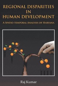bokomslag Regional Disparities In Human Development