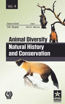 V K Gupta, V. K. &. Verma Anil Kumar Gupta, Anil Kumar Gupta,  V K & Verma, V K & Verma Anil Kumar Gupta - Animal Diversity Natural History and Conservation Vol. 4, Inbunden