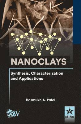 bokomslag Nanoclays