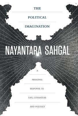 bokomslag Political Imagination