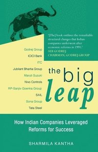 bokomslag Big Leap