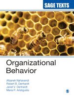 bokomslag Organizational Behavior