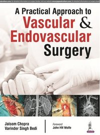 bokomslag Practical Approach to Vascular & Endovascular Surgery