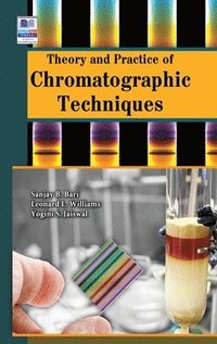 bokomslag Theory and Practice of Chromatographic Techniques