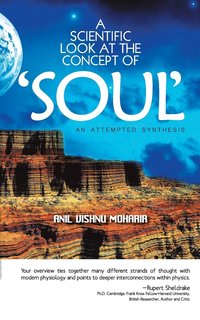 bokomslag A Scientific Look at the Concept of Soul