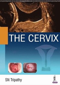 bokomslag The Cervix